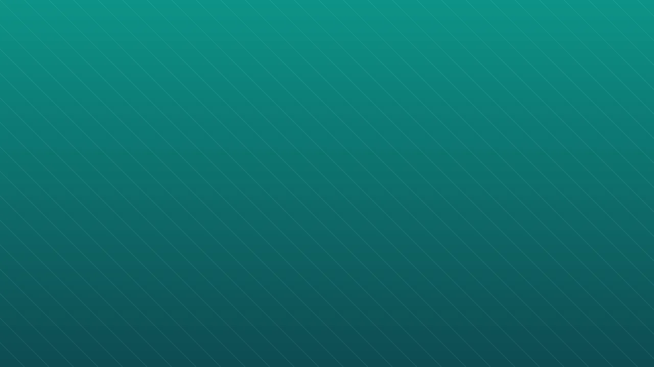 Esnaf Röportajları (Demo Video)